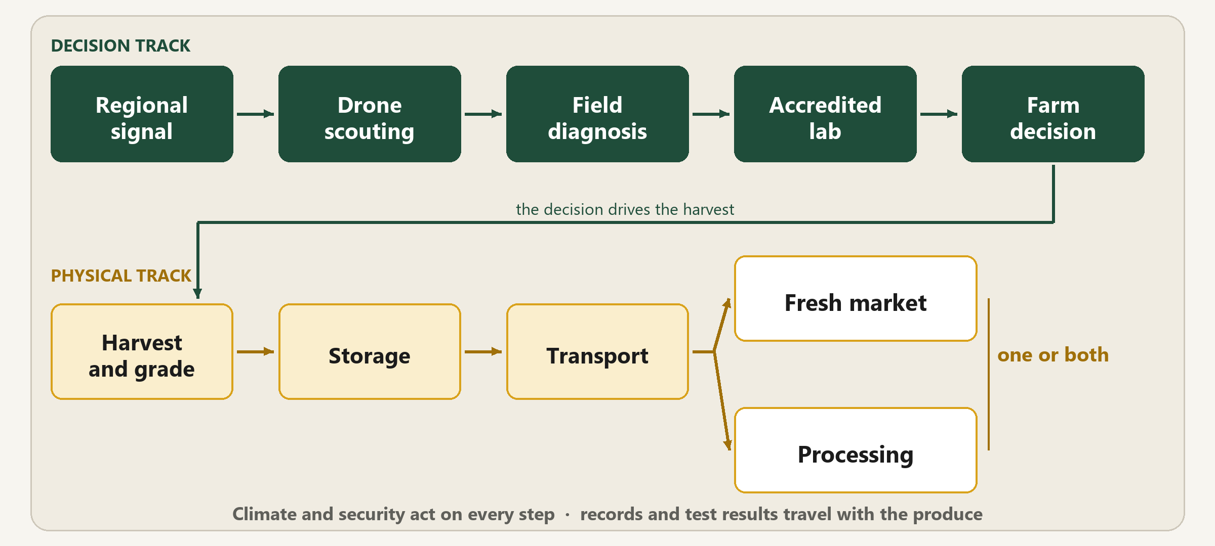 Two-track last-mile model: decision track above, physical track below forking to fresh market and/or processing